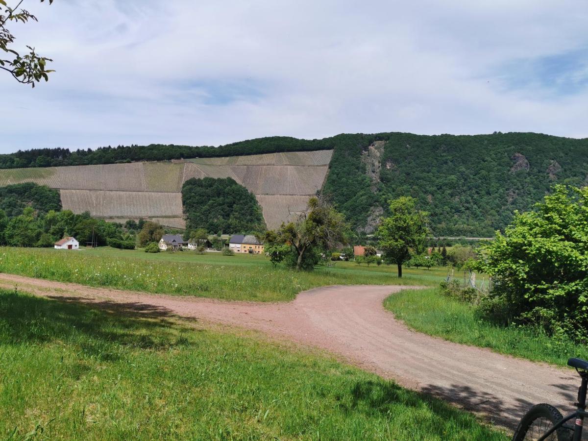 Gemuetliche 90 Qm Wohnung In Saarburg, Zentral Gelegen, Garten Mit Aussicht, Separater Eingang Buitenkant foto